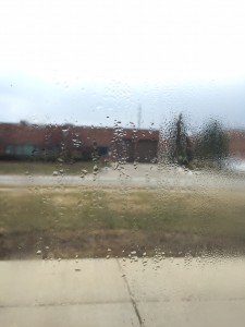 Window with visble moisture